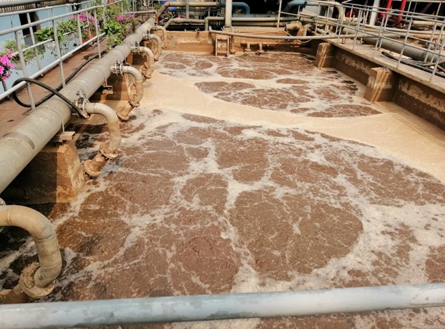 Cung c&acirc;́p bùn vi sinh Qu&acirc;̣n 10 lu&ocirc;n được đánh giá cao