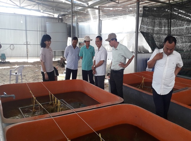 Dịch vụ vận chuyển b&ugrave;n vi sinh Qu&acirc;̣n 10 có kinh nghi&ecirc;̣m gì?